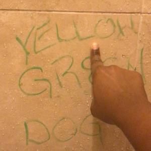 Meet your Posher, Sheena